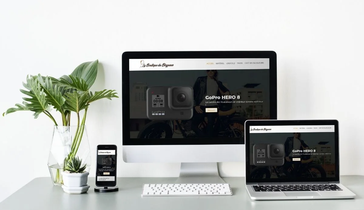 Projet La boutique du blogueur